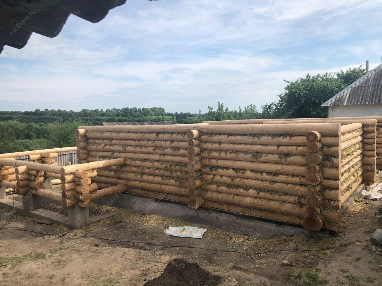 Дом-баня 8 на 8 сруб в чашу — фото 7 Дом-баня 8 на 8 сруб в чашу — фото 7